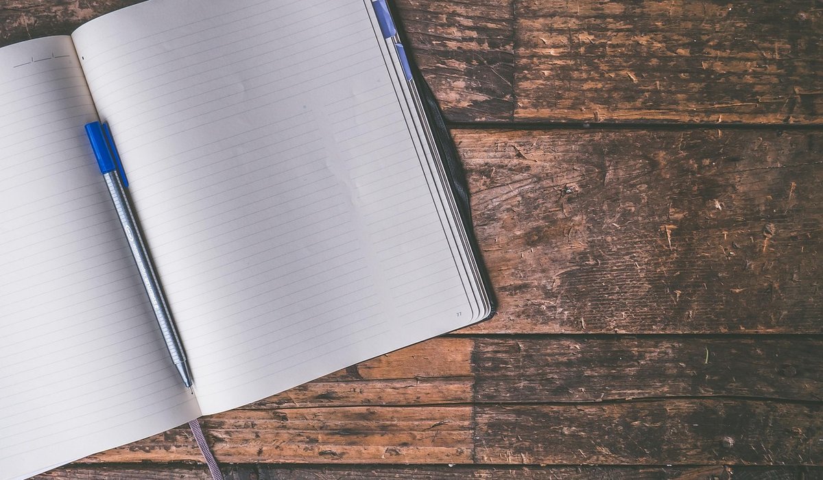 How to Start a Nature Journal with Simple Daily Observations