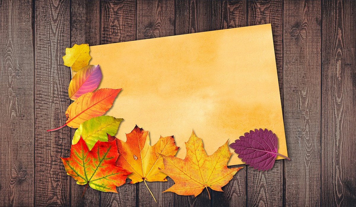 Reviewing Classic Nature Diaries for Modern Readers